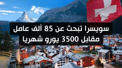 سويسرا تبحث عن 85 ألف عامل مقابل 3500 يورو شهريا – إليكم المهن التي يتم توظيفها