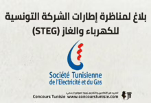 concours steg 2026