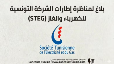 concours steg 2026