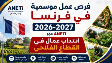 فرص عمل موسمية في فرنسا 2026-2027 عبر ANETI: انتداب عمال في القطاع الفلاحي