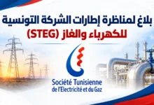 الشركة التونسية للكهرباء والغاز